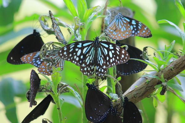 育達科大提倡健康樂活 結合苗栗美景推動單車旅遊 - - -  - 